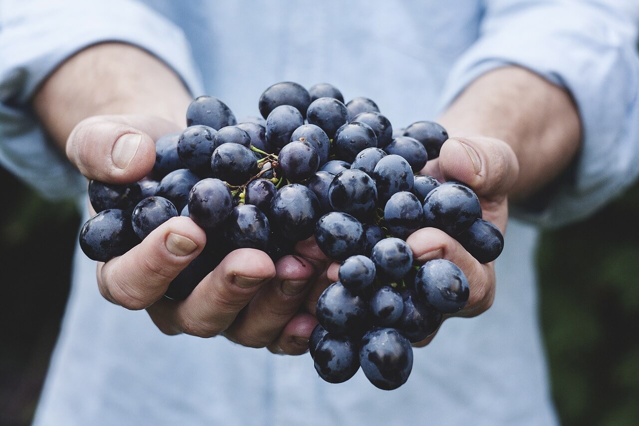 organic grapes in hand