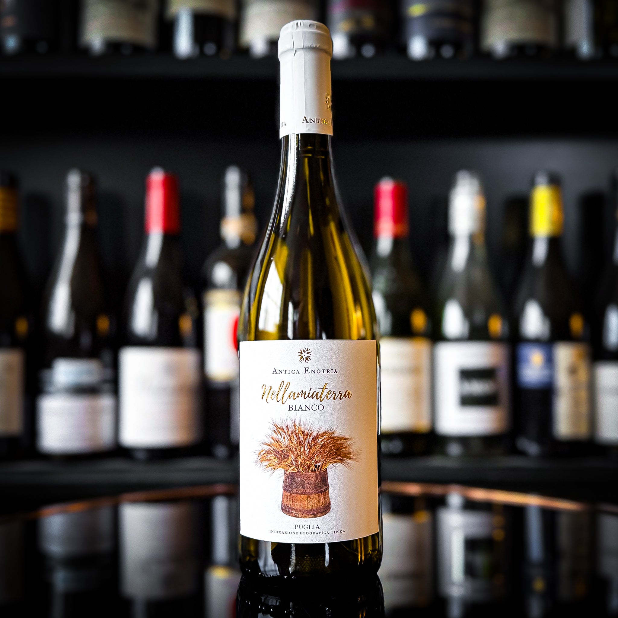 Antica Enotria Nellamiaterra Bianco