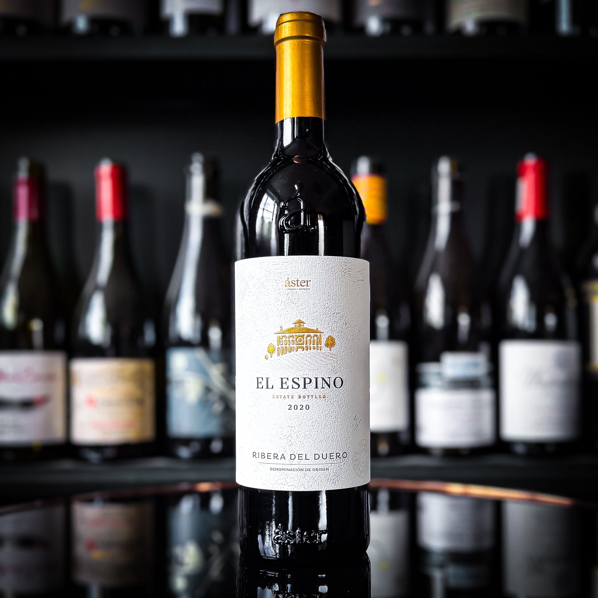 Áster El Espino Ribera del Duero