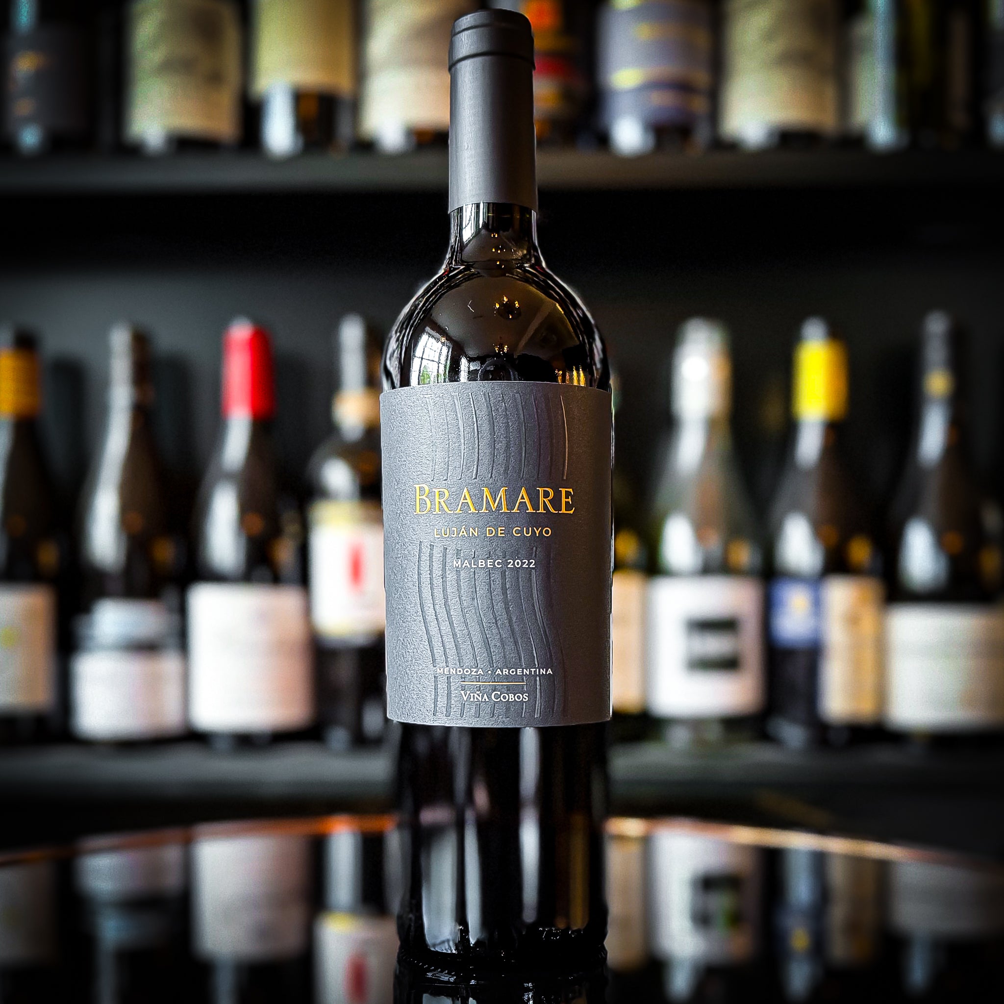 Viña Cobos Bramare Malbec Lujan de Cuyo
