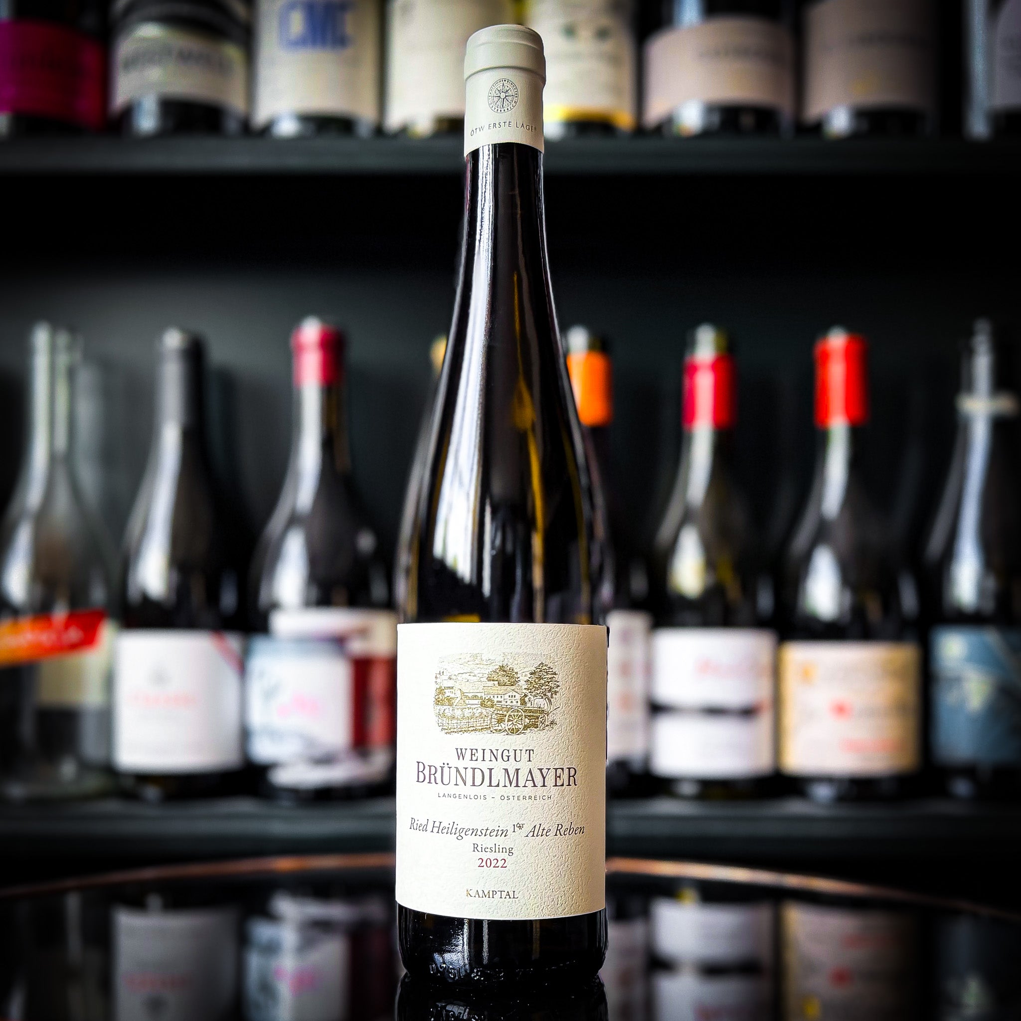 Weingut Bründlmayer Ried Heiligenstein 1ÖTW Alte Reben Riesling