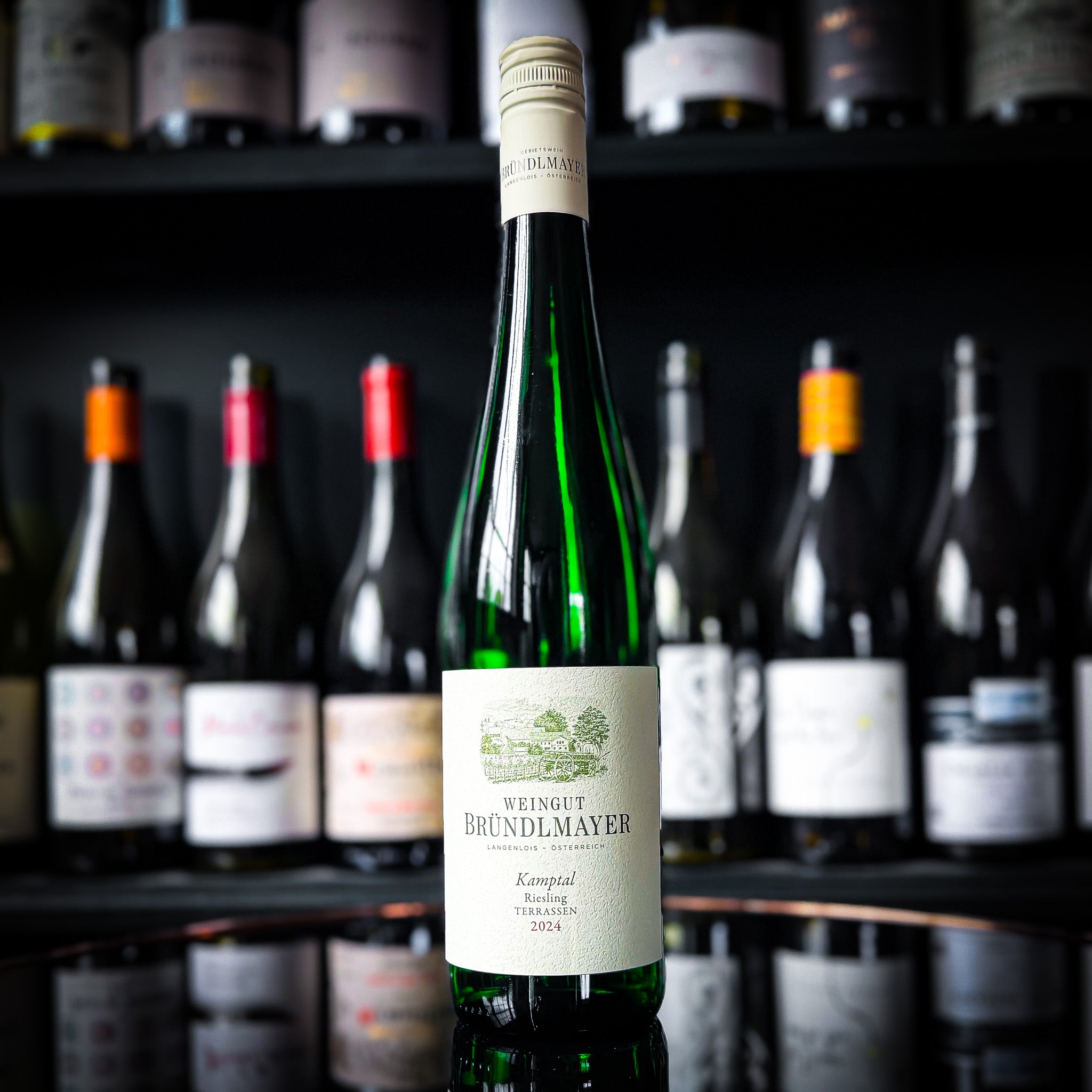 Bründlmayer Kamptaler Terrassen Riesling