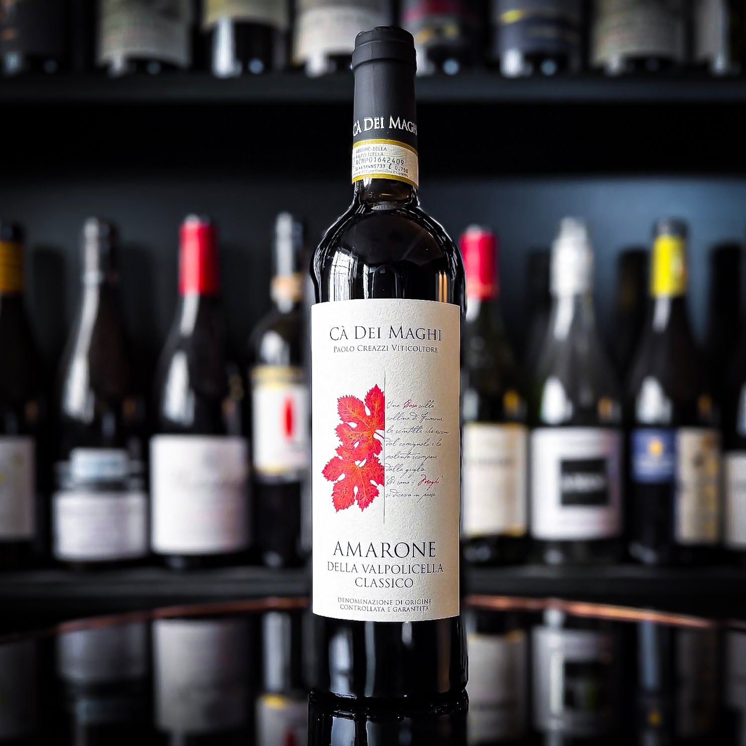 Ca’ dei Maghi Amarone della Valpolicella Camparsi