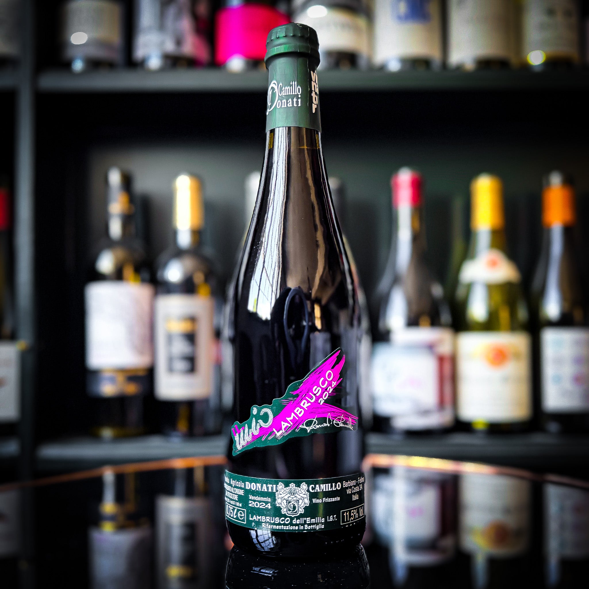 Donati Camillo Lambrusco Rosso