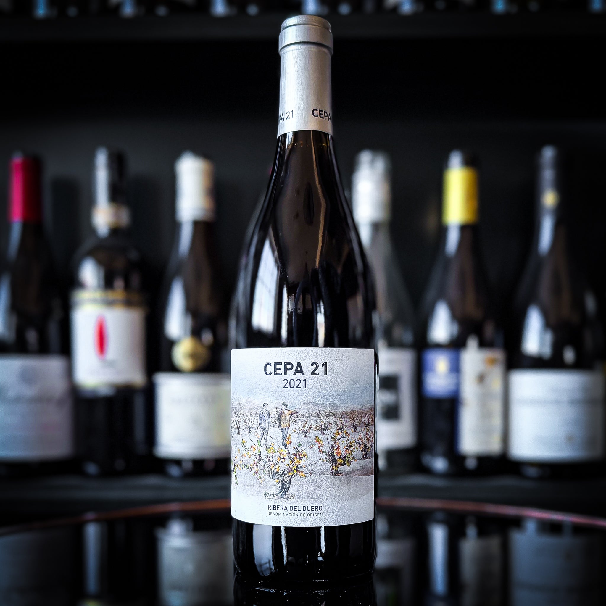 Bodega Cepa 21 Estate Ribera del Duero