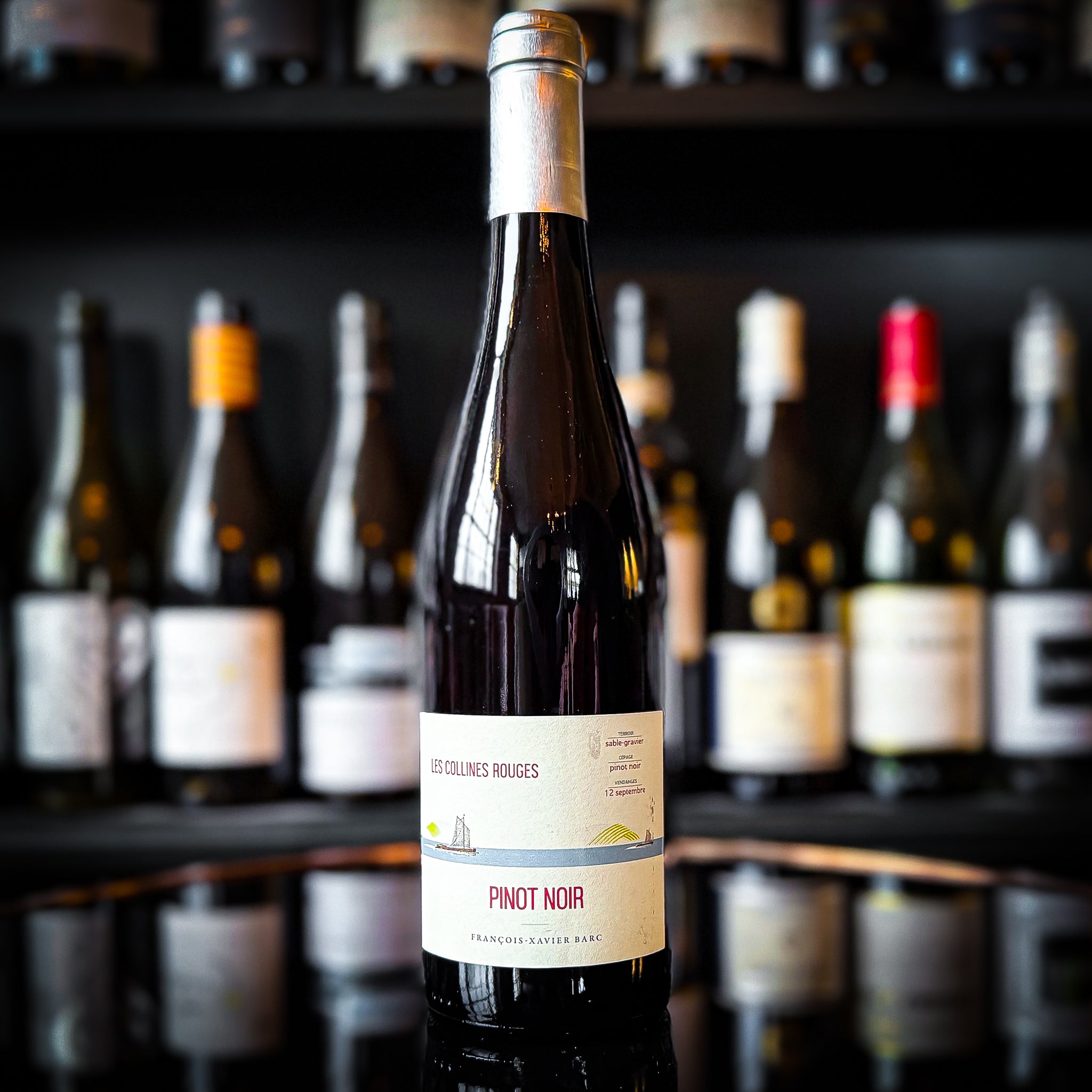 Complices de Loire Les Collines Rouges Pinot Noir