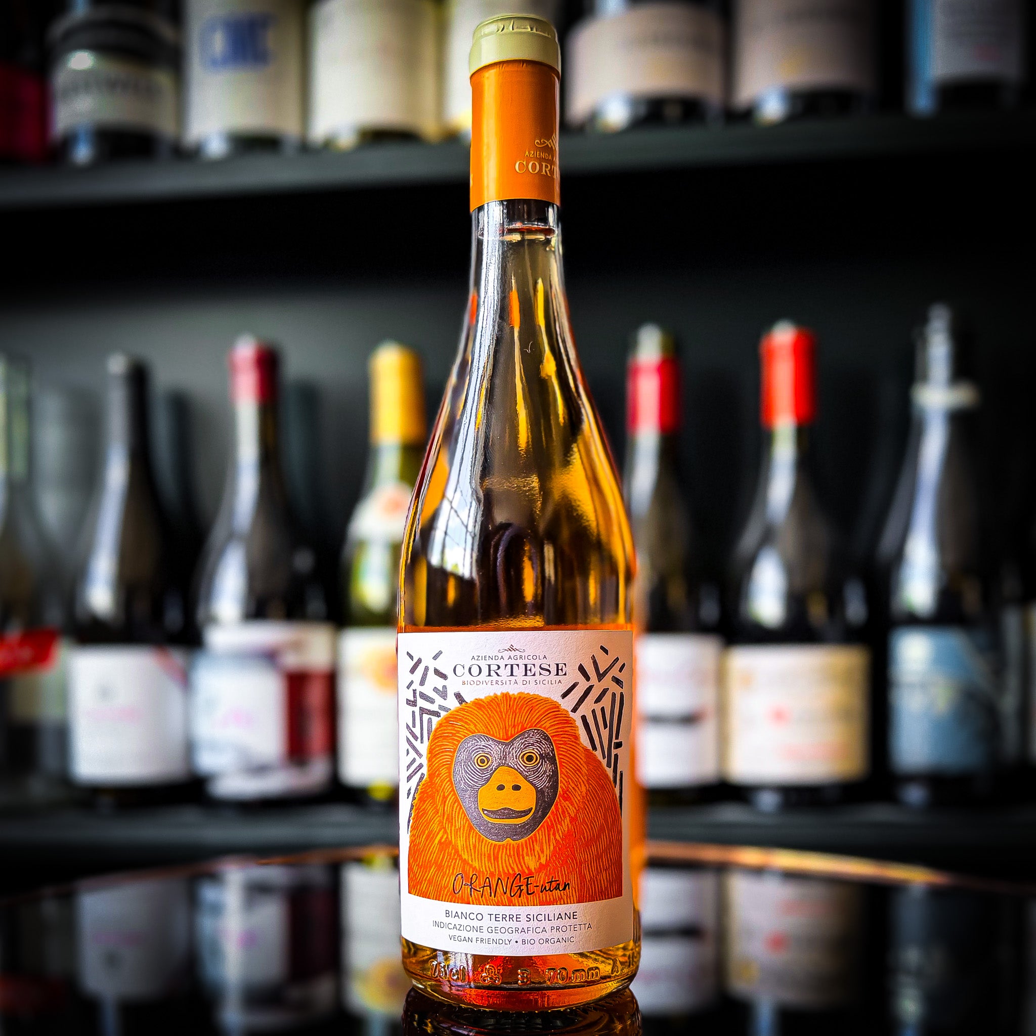 Cortese Nostru Orange-Utan