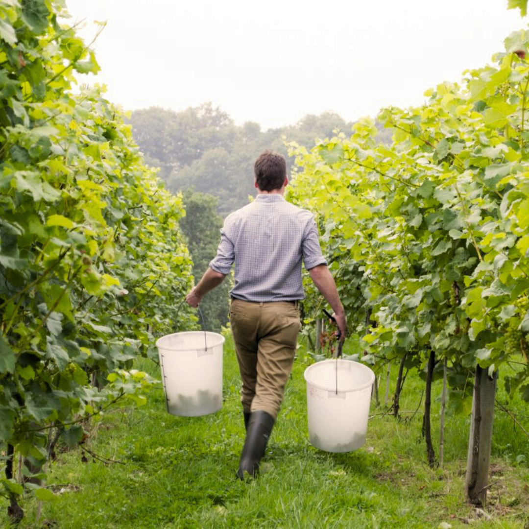 Tivoli Wines Cheltenham