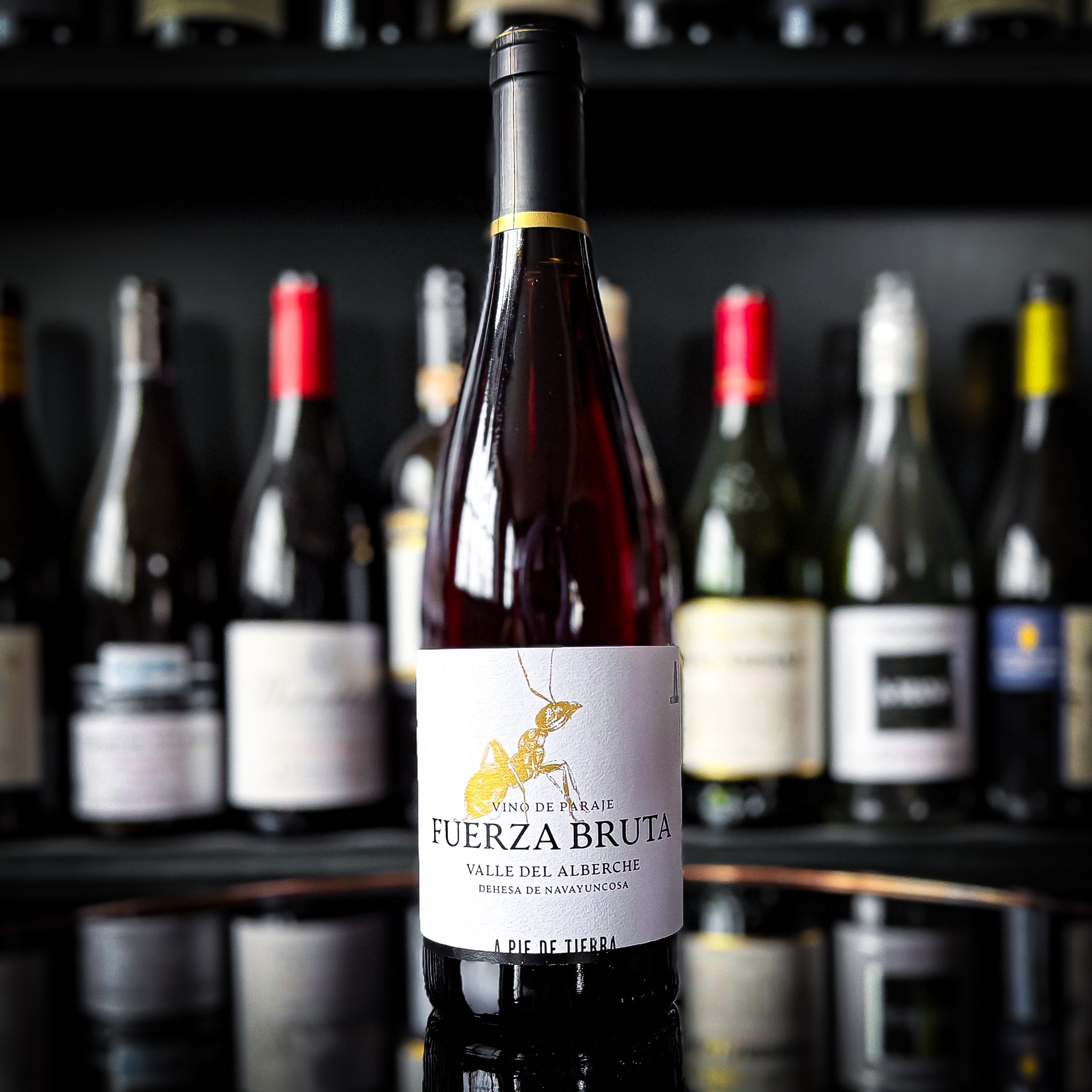 A Pie de Tierra Fuerza Bruta Sierra de Gredo