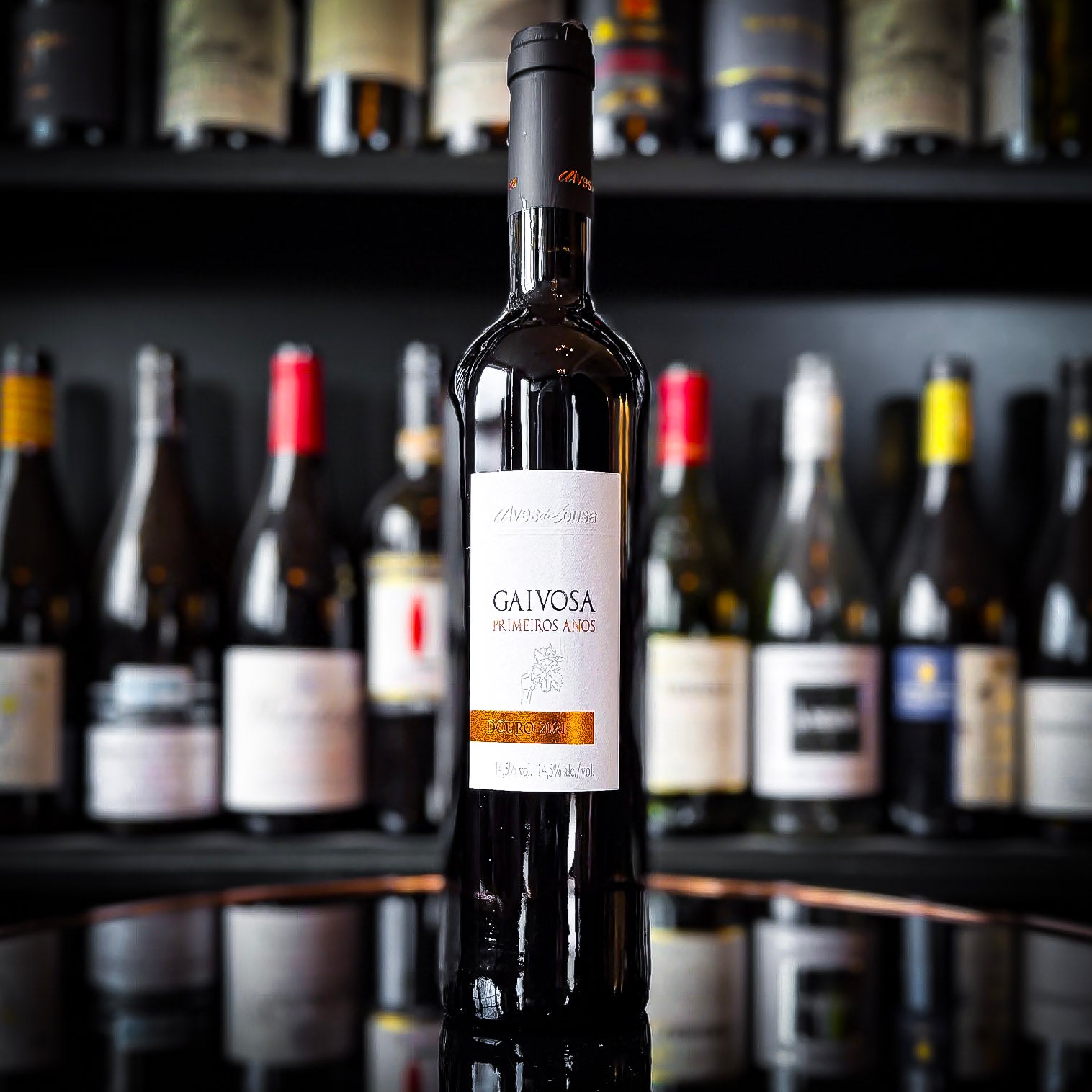 Alves de Sousa Gaivosa Primeiros Anos