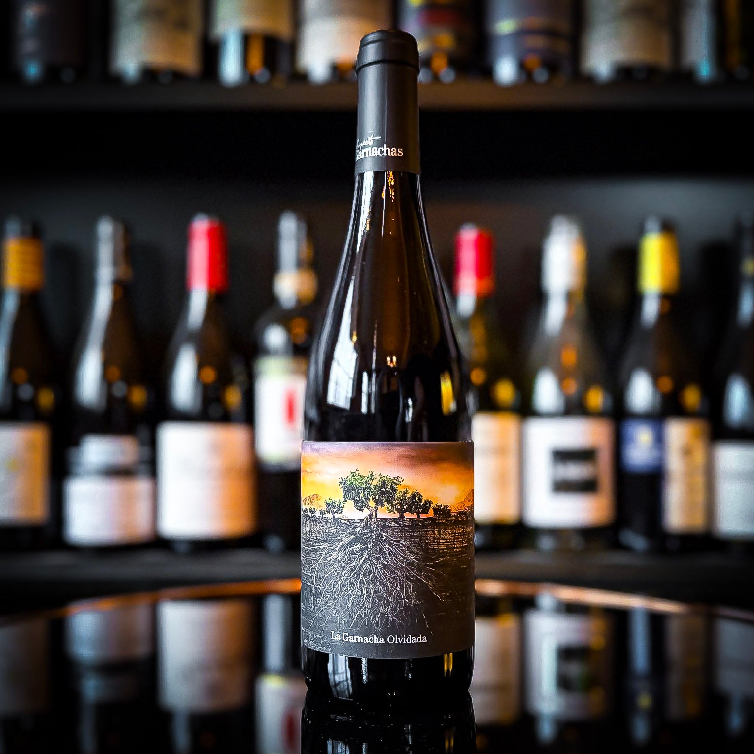 Proyecto Garnachas de Espana 'La Garnacha Olvidada de Aragon'