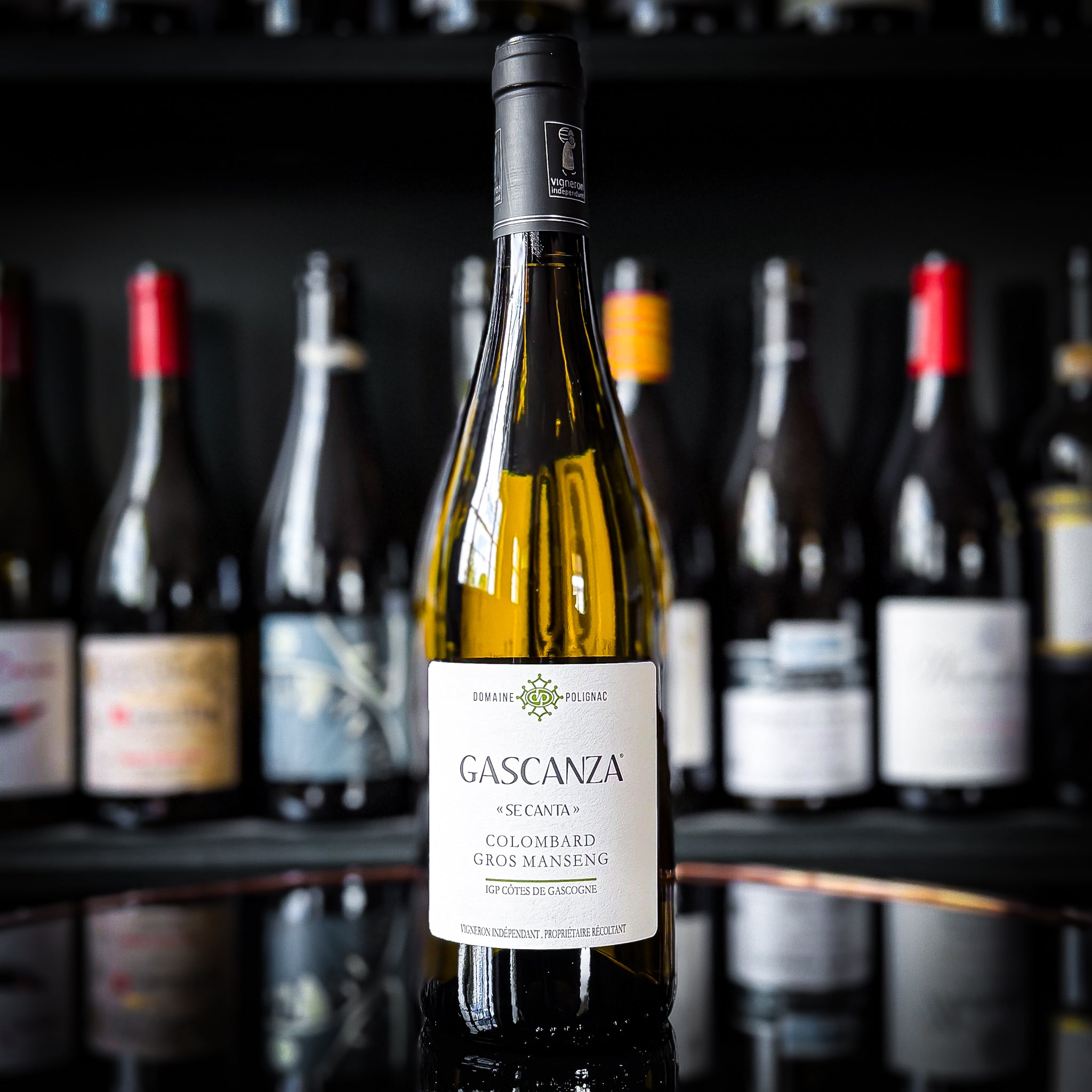 Domaine de Polignac Se Canta Gascanza