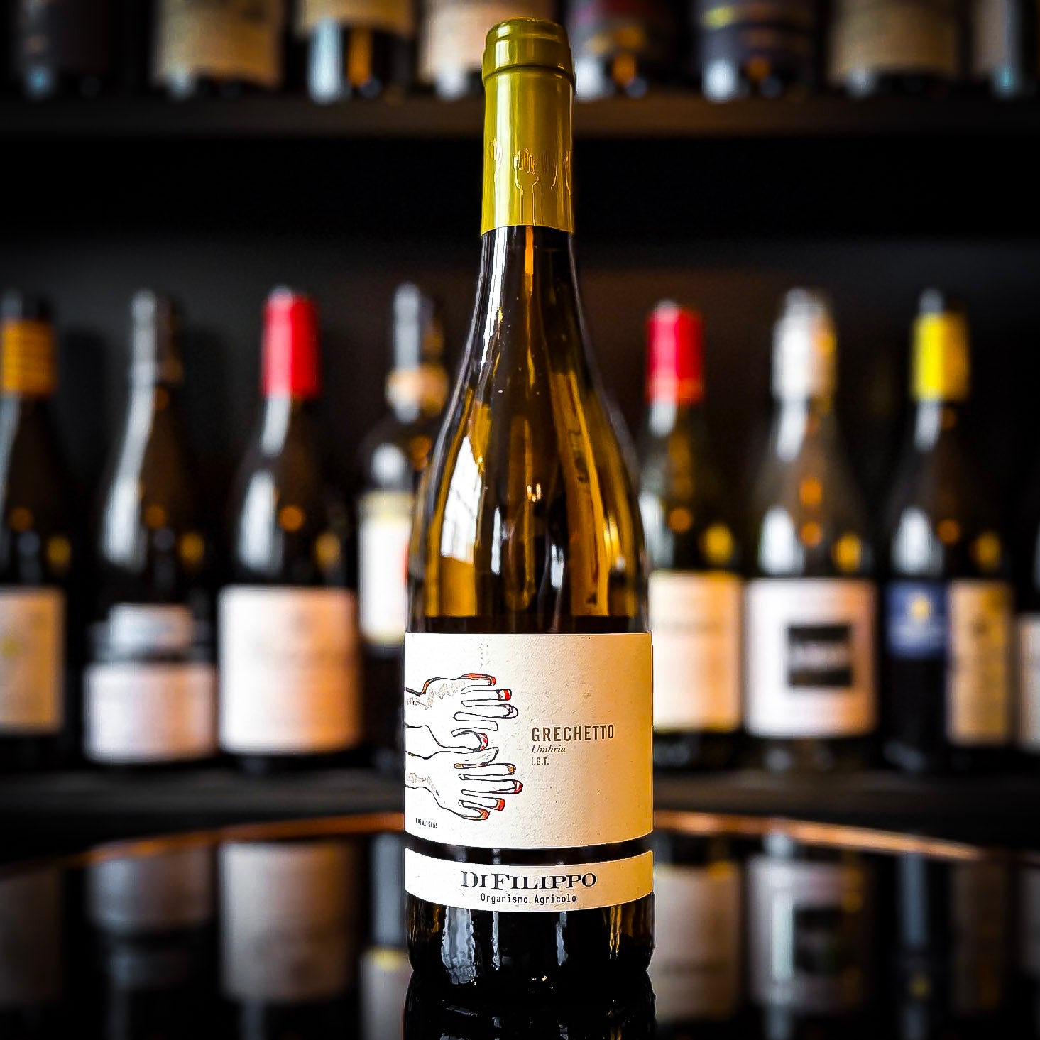 Di Filippo Grechetto di Todi