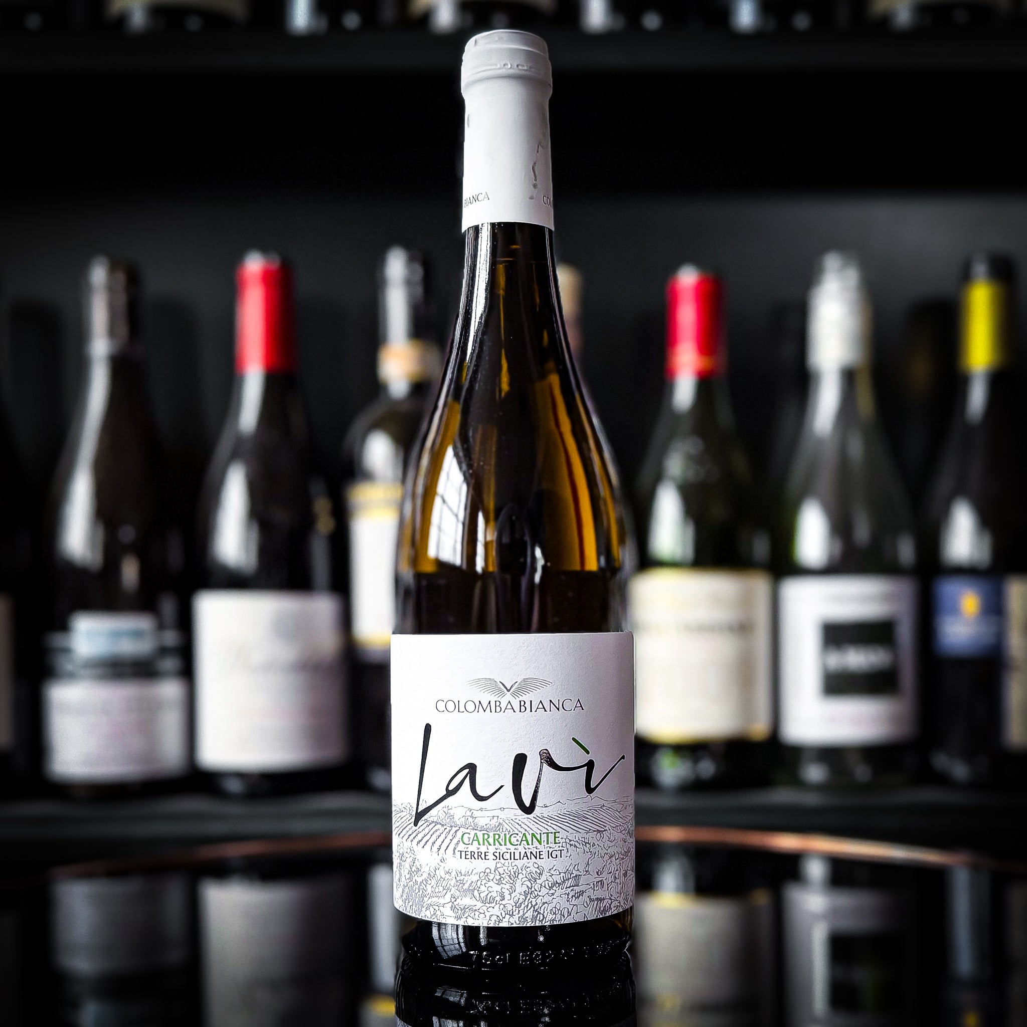 Colomba Bianca Lavi Carricante