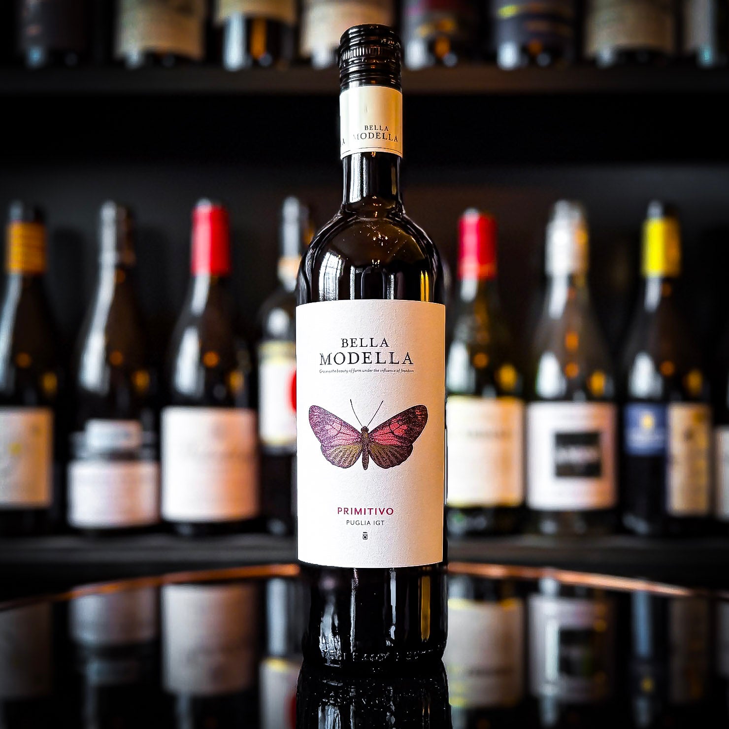 Bella Modella Primitivo