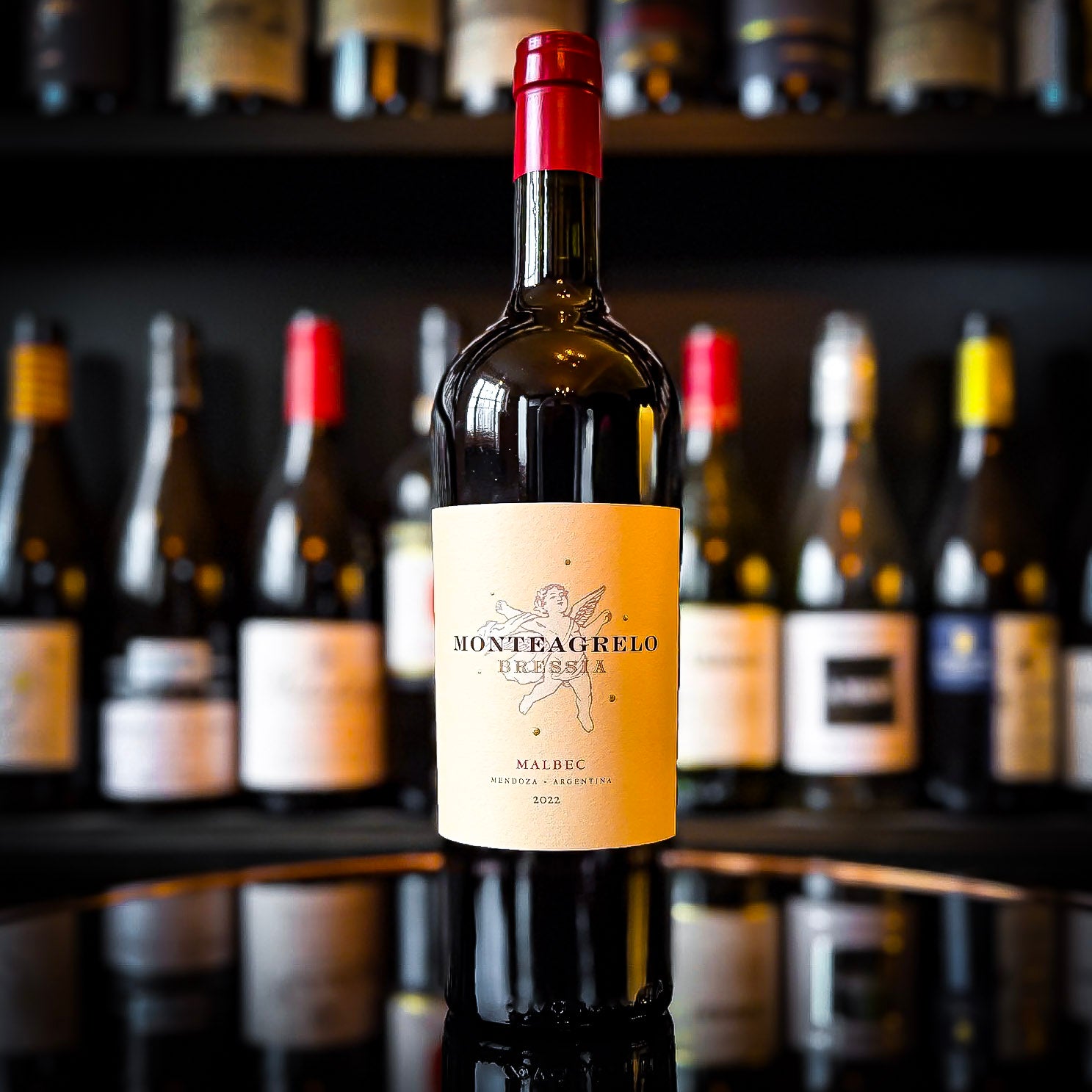 Walter Bressia Monteagrelo Malbec