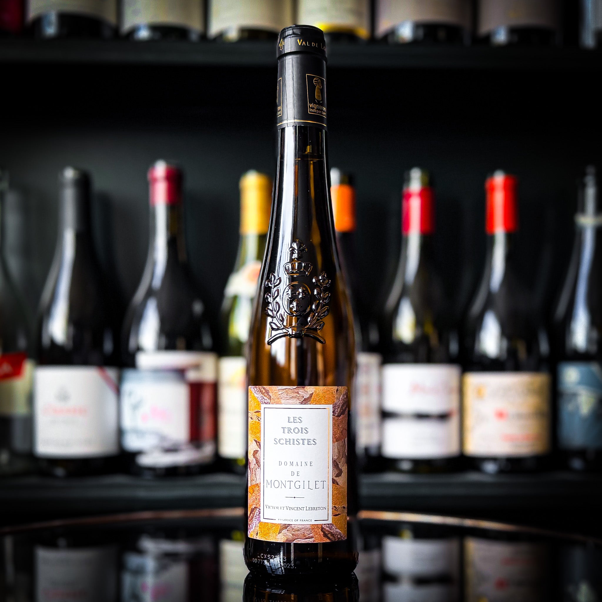 Domaine de Montgilet Les Trois Schistes (50cl)