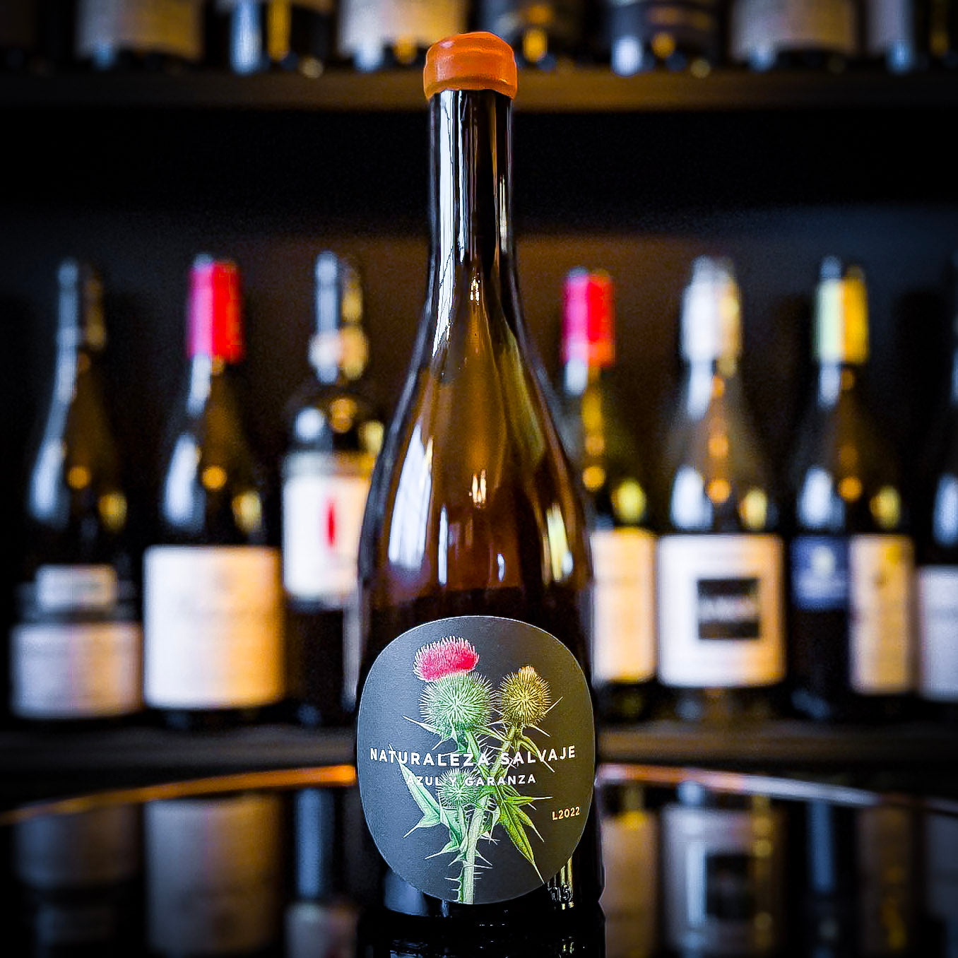 Azul y Garanza Naturaleza Salvaje Blanco