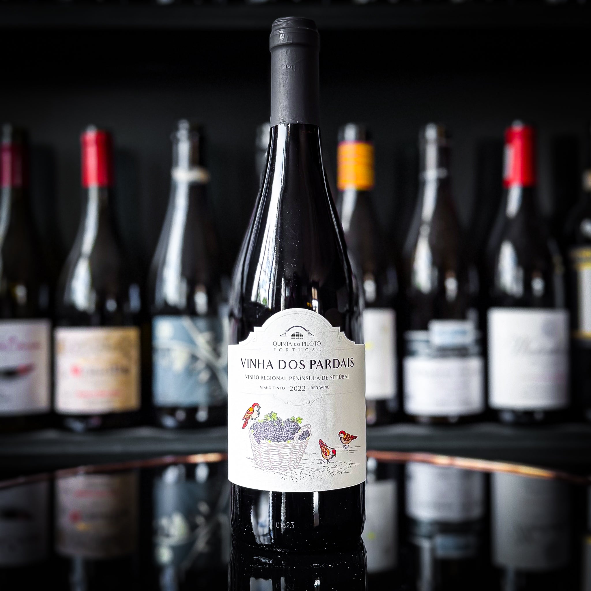 Quinta do Piloto Vinha dos Pardais Tinto