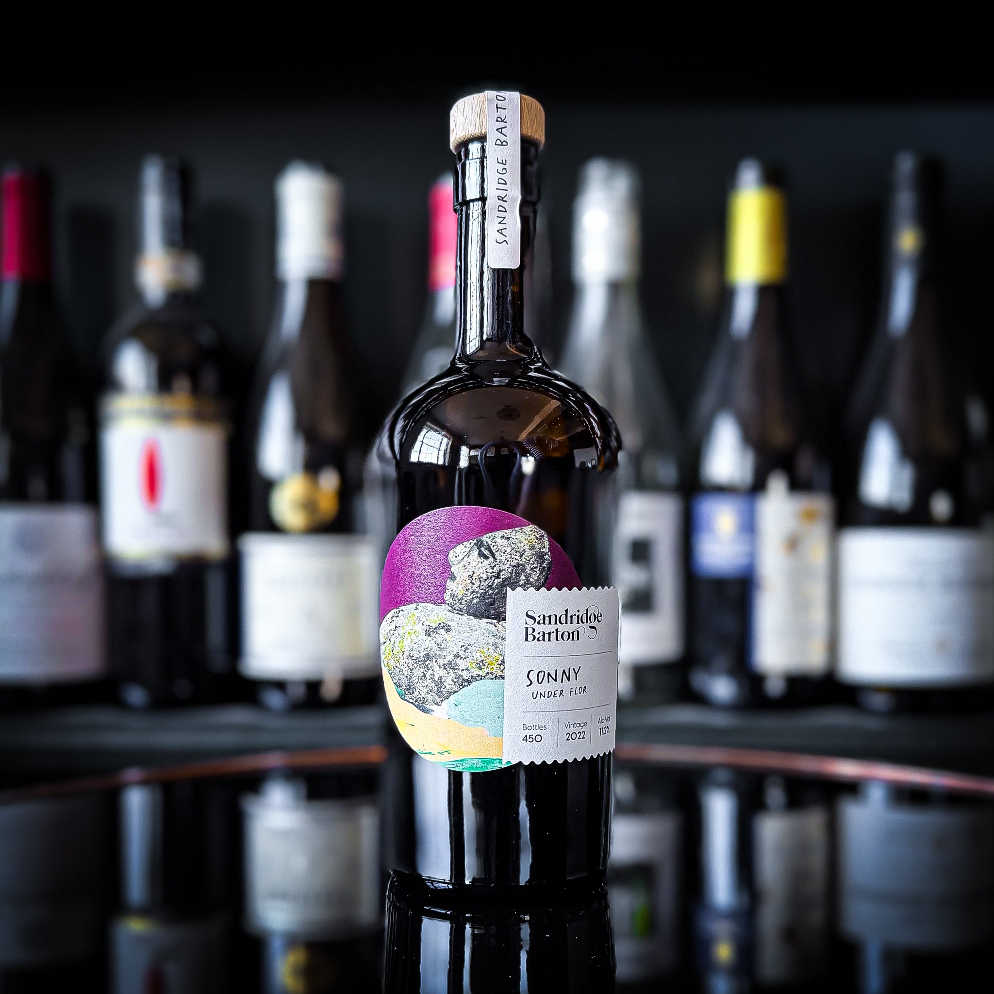 Sandridge Barton Don’t Feed The Ponies Sonny