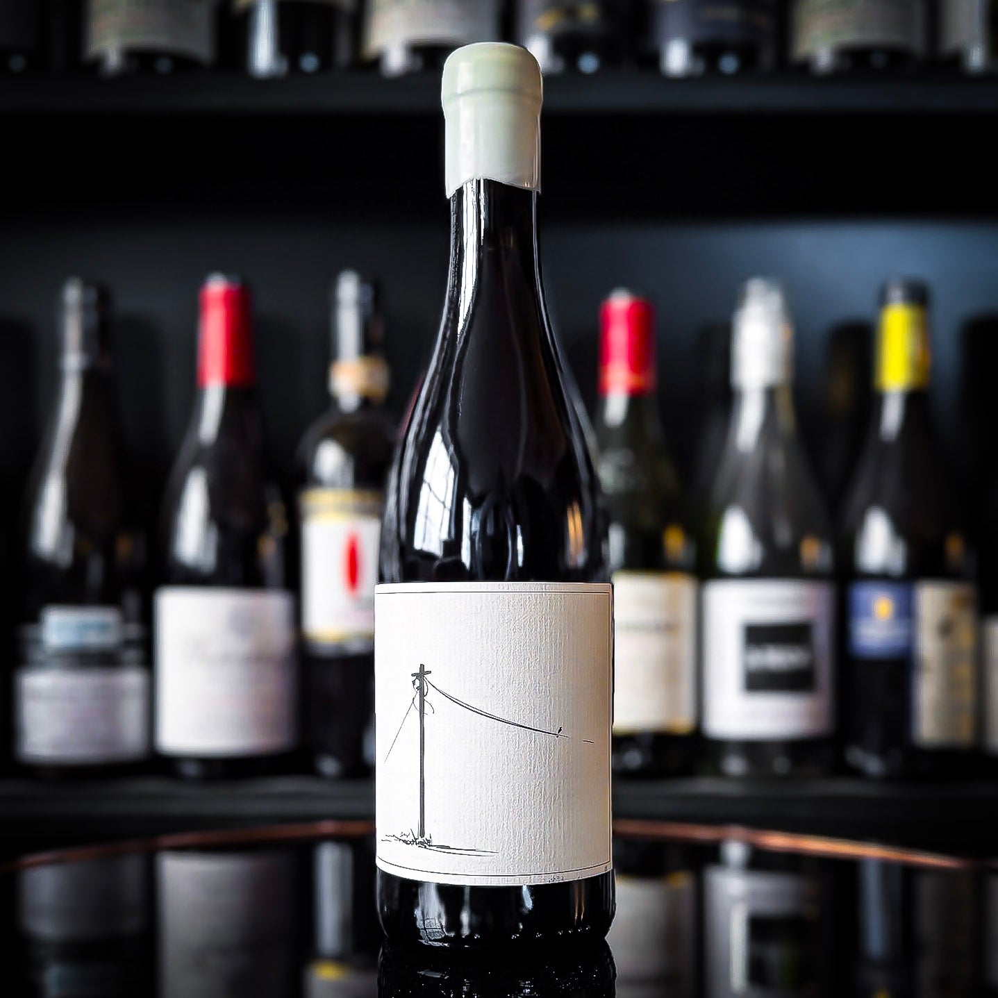 Savage Follow The Line