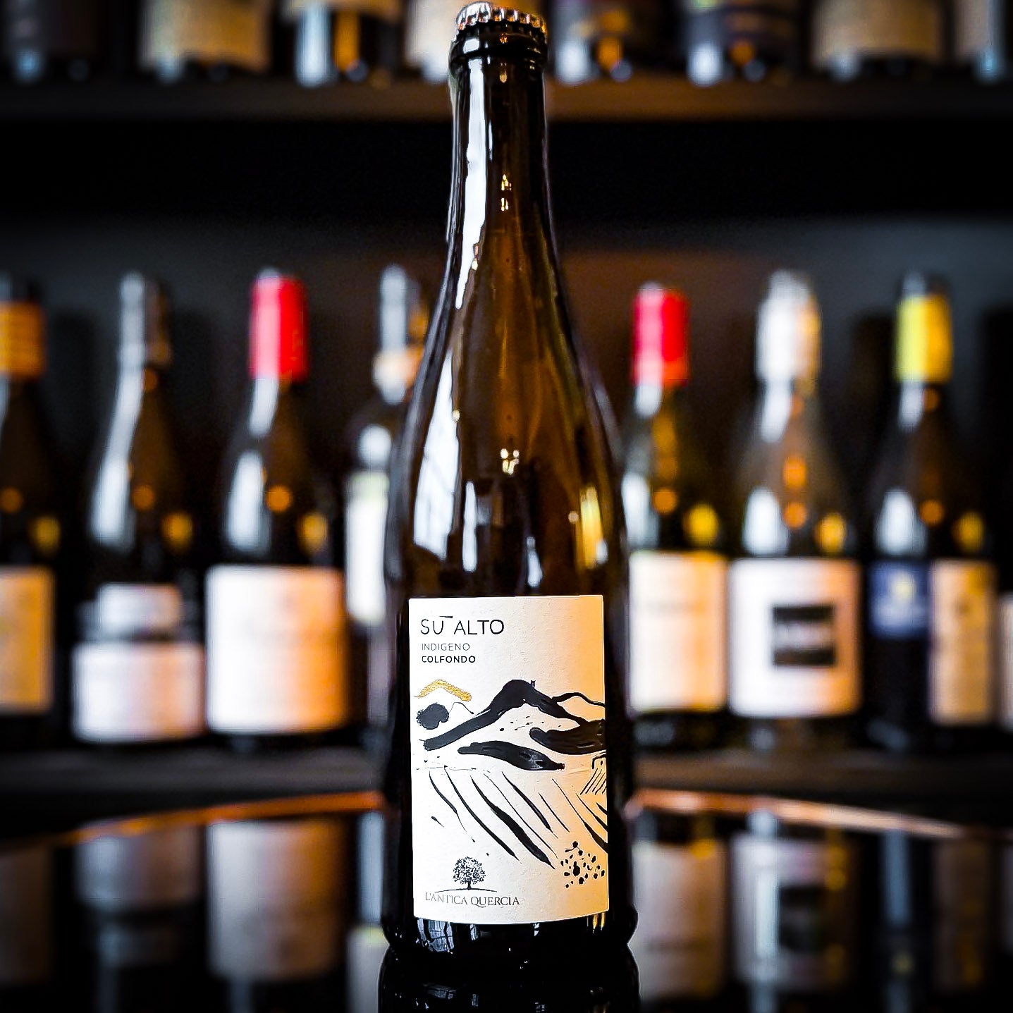 L'Antica Quercia Su Alto Colfondo