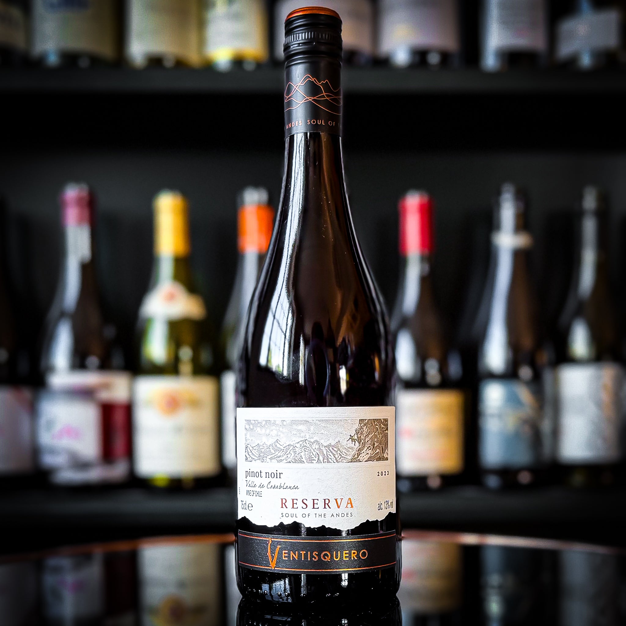Ventisquero Reserva Pinot Noir