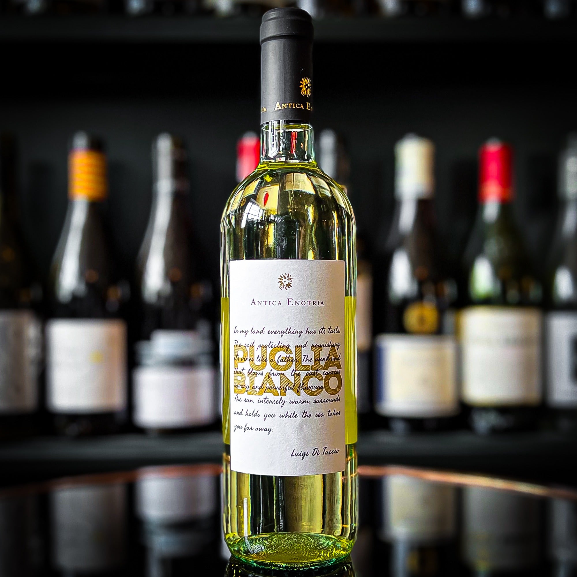 Antica Enotria Nellamiaterra Bianco
