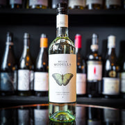 Bella Modella Pinot Grigio Colline Teatine IGT