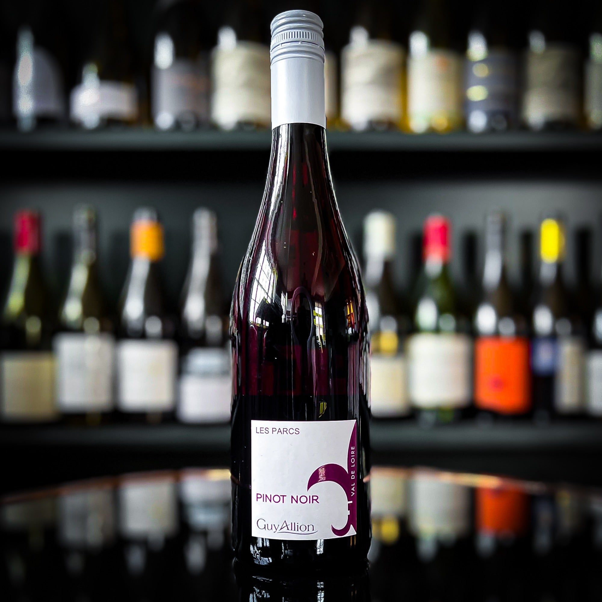 Domaine Guy Allion Pinot Noir