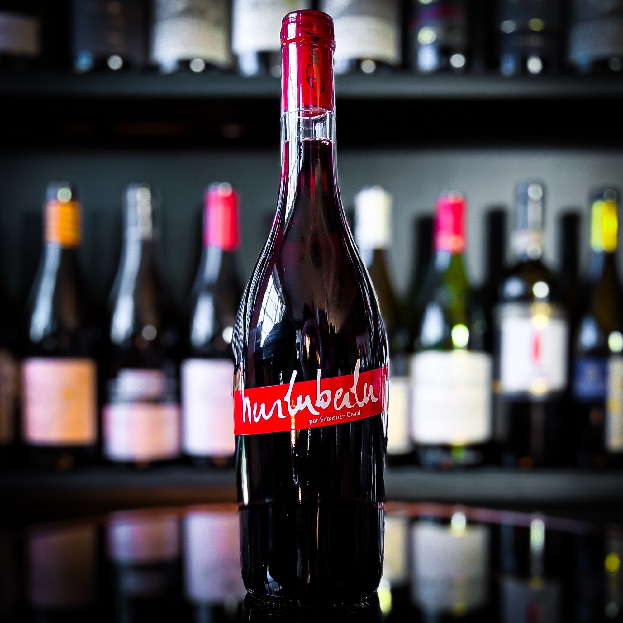 Domaine Sébastian David Saint Nicolas de Bourgueil Hurluberlu