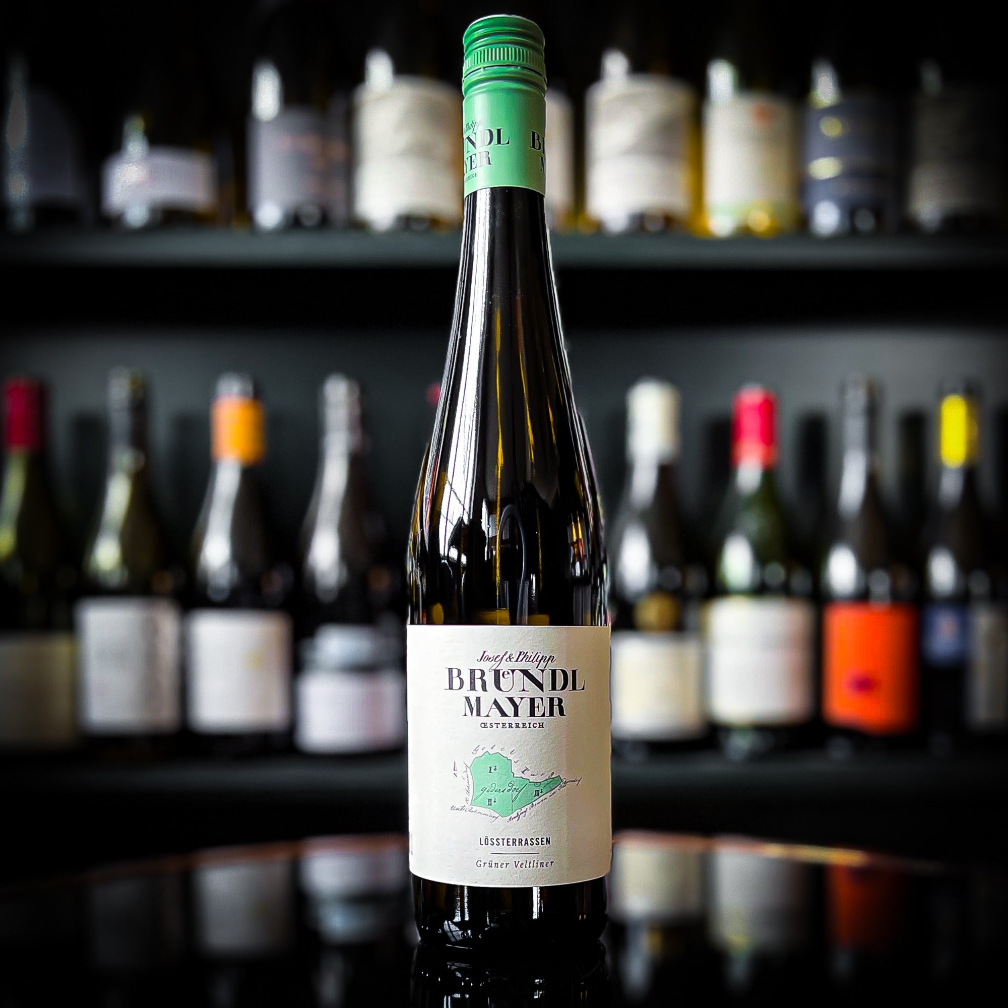 Josef & Philipp Bründlmayer Grüner Veltliner Lössterrassen