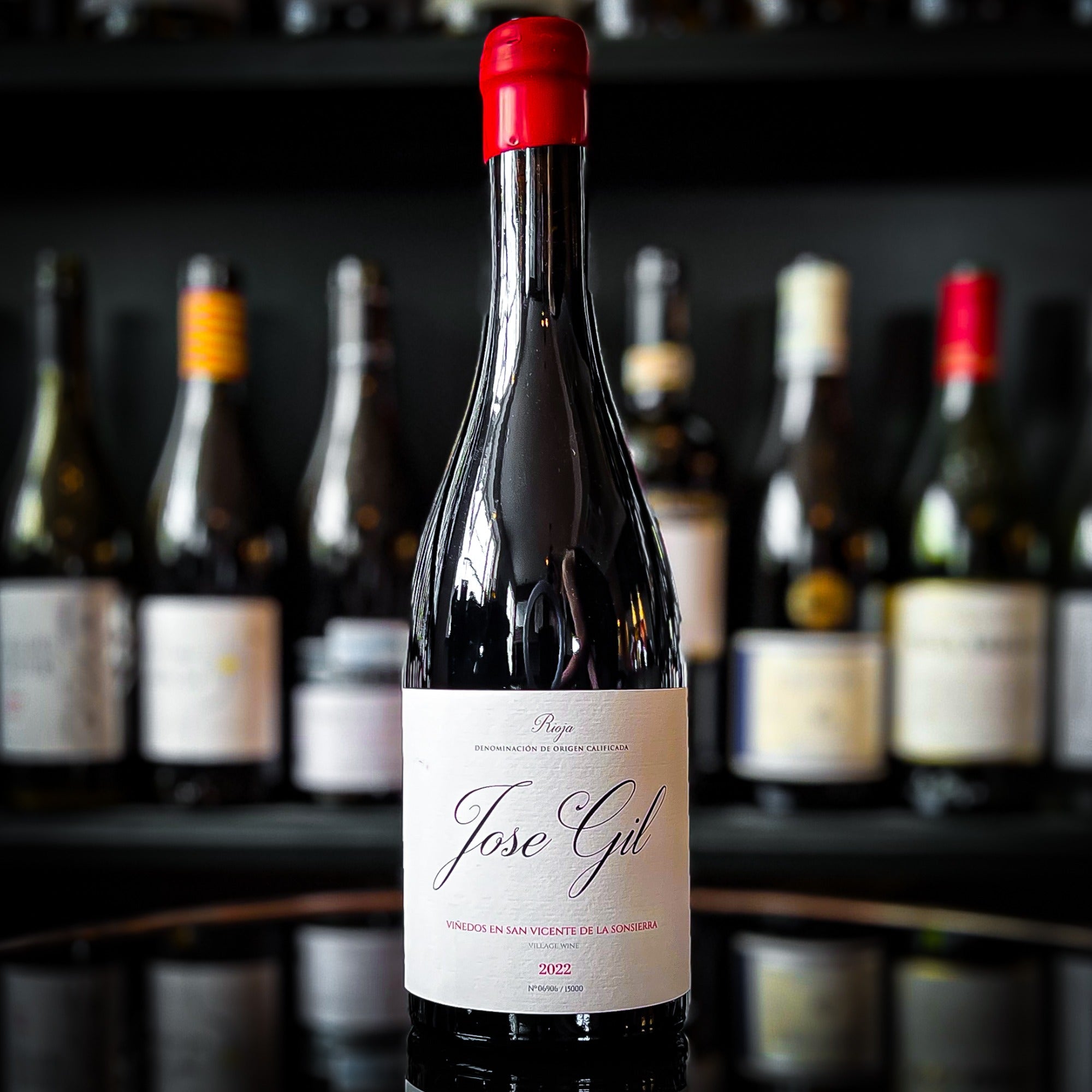 Jose Gil Rioja San Vicente la Sonsierra