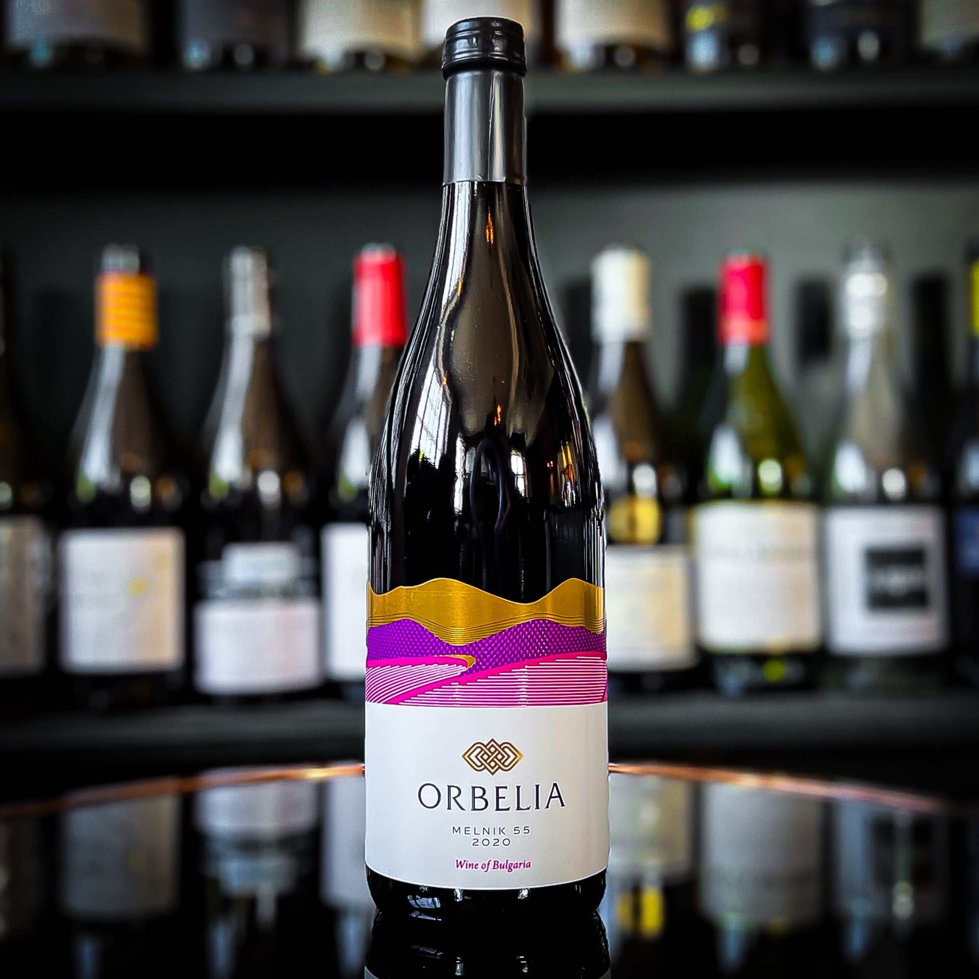 Orbelia Melnik 55