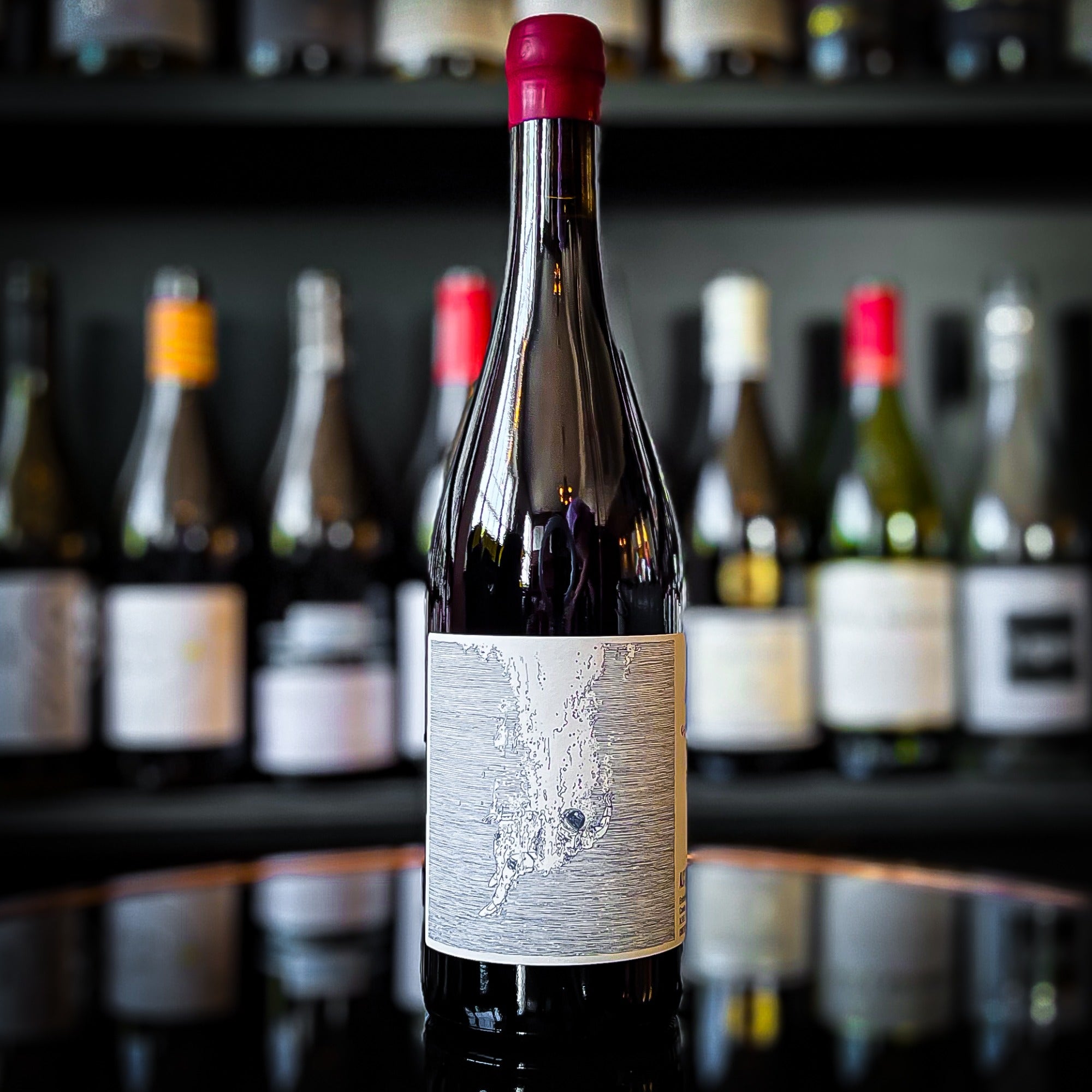 Vina Zorzal Sea of Dreams Tinto