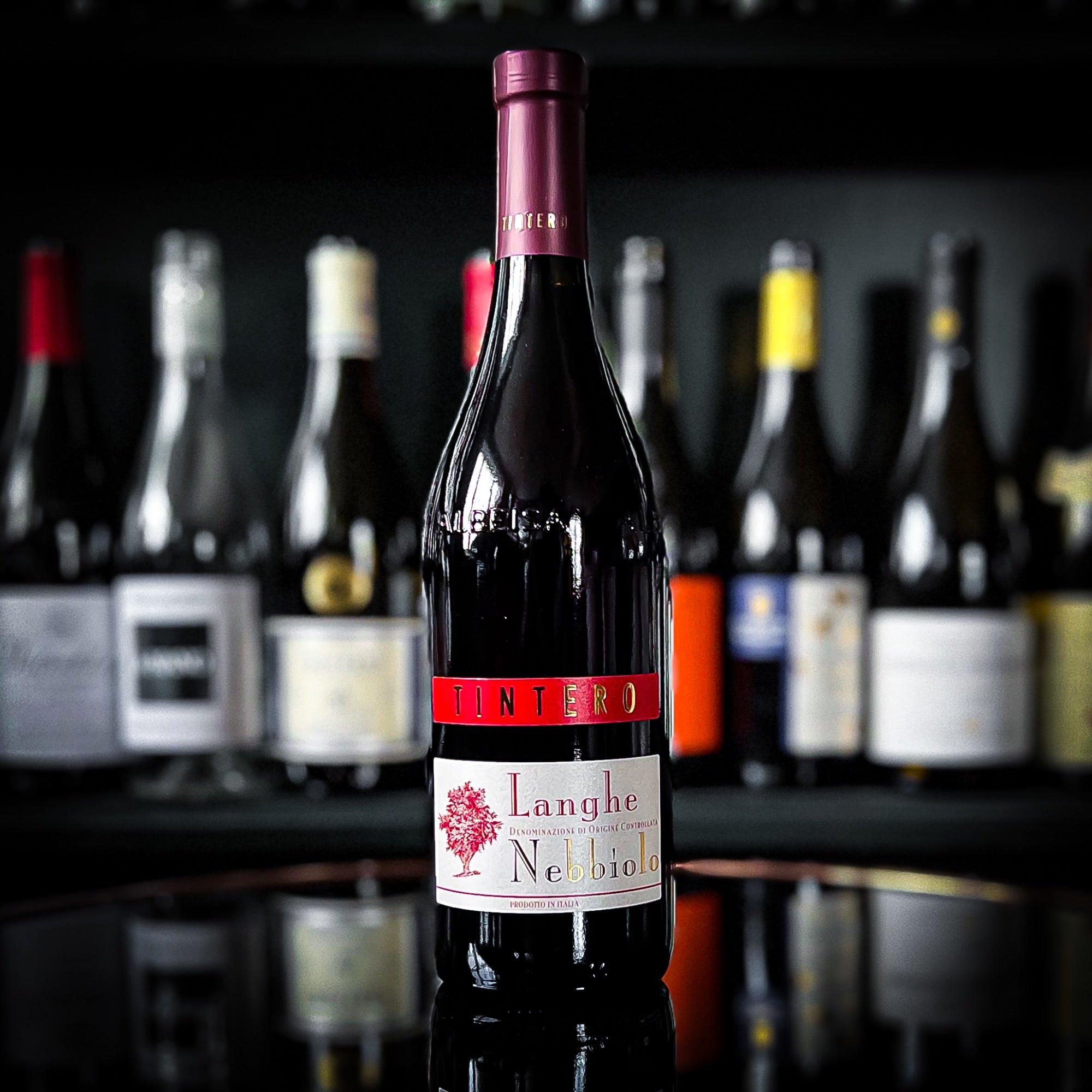 Elvio Tintero Nebbiolo