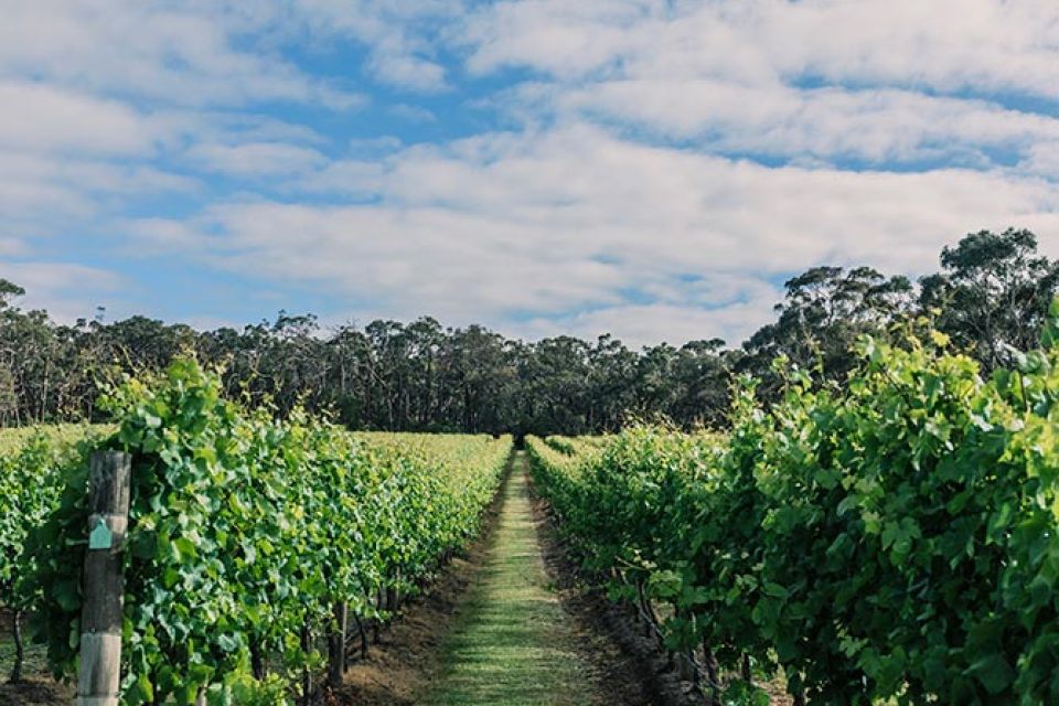 Mornington Peninsula, Australia