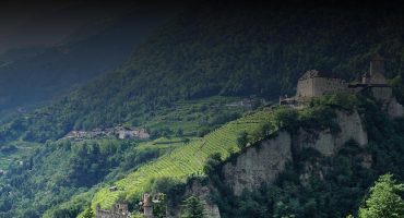 Top 9 Italian Wines Under £15 Top 9 Italian Wines Under £15