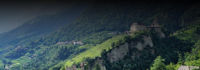 Top 9 Italian Wines Under £15