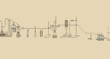 What Is Natural Wine? What Is Natural Wine?
