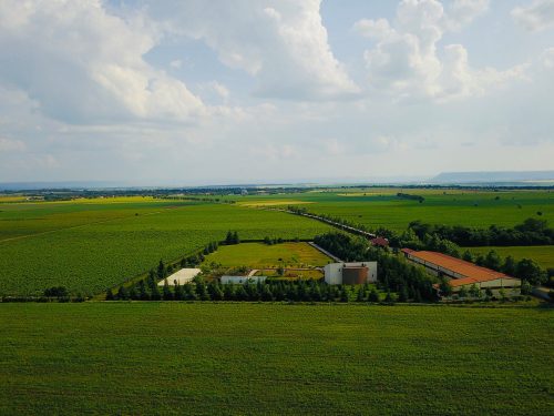 Tsarev Brod Winery and Vineyards