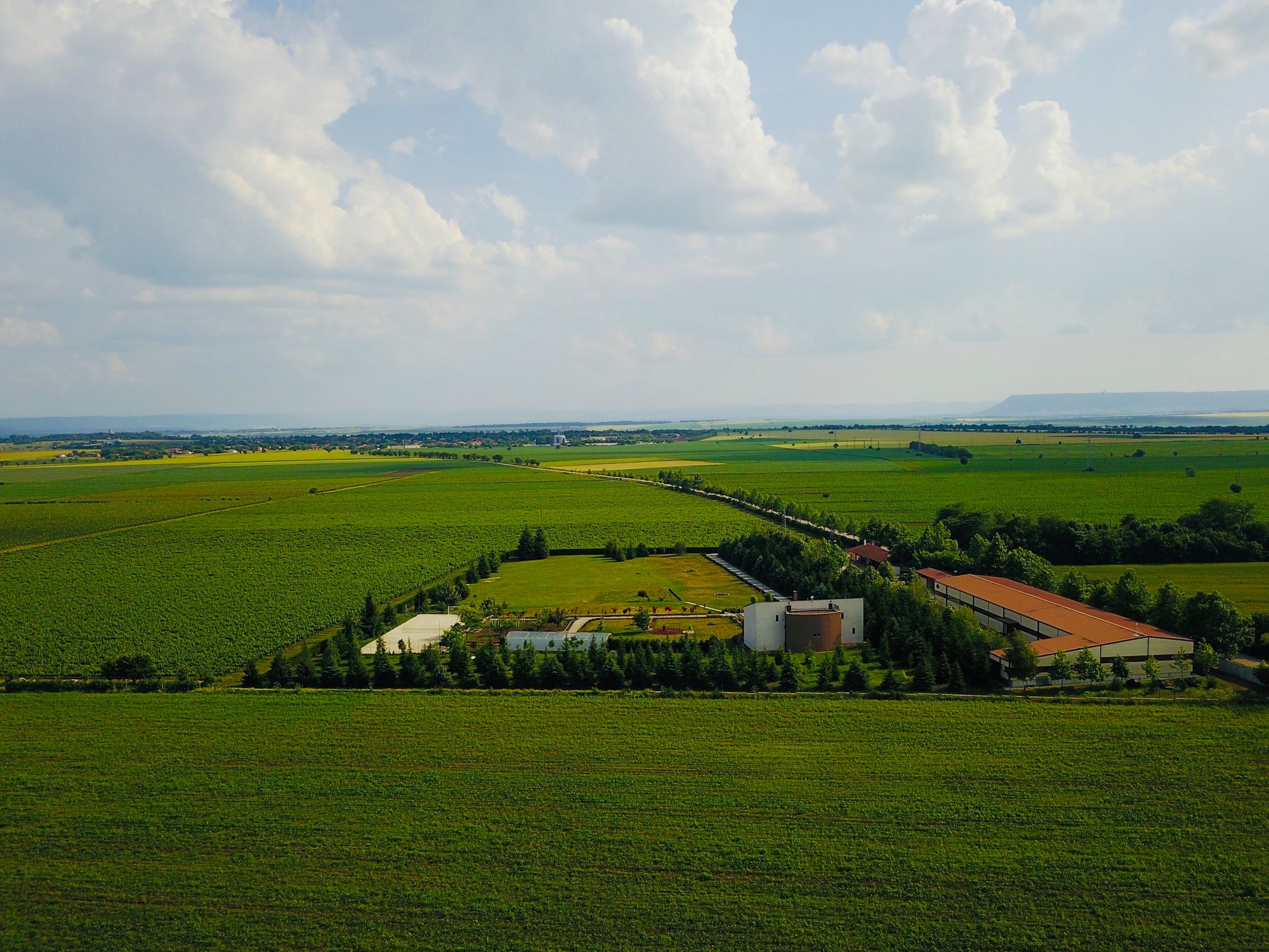 Tsarev Brod Winery and Vineyards