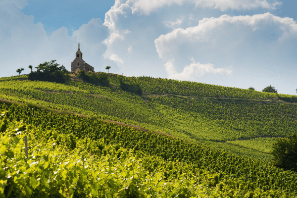 Fleurie La Madone